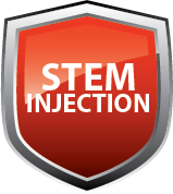 Stem Injection